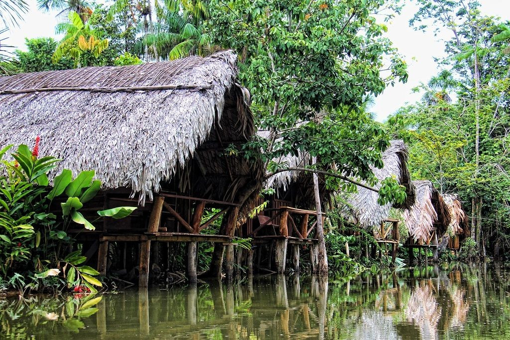  Nhà ở của người Warao được xây trên cọc để chống lũ. Những ngôi nhà lợp lá được dựng trên trụ cao để tránh nước dâng, tạo nên quần thể nhà liên kết bằng cầu gỗ ngay trên mặt nước. Ảnh: Pinterest.