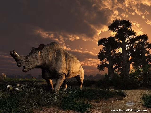  Cặp sừng chữ Y đặc trưng. Đặc điểm nổi bật nhất của Megacerops là cặp sừng lớn hình chữ Y trên mũi, cấu tạo chủ yếu từ xương, có thể dùng để thị uy, tranh giành bạn tình hoặc phòng vệ. Ảnh: Pinterest.