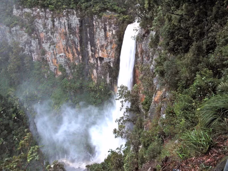  Địa hình đa dạng hiếm có. Khu vực này bao gồm núi lửa cổ, hẻm núi sâu, thác nước và cao nguyên đá, tạo nên nhiều vi khí hậu khác nhau, góp phần duy trì sự phong phú sinh học. Ảnh: rainforest.org.au.