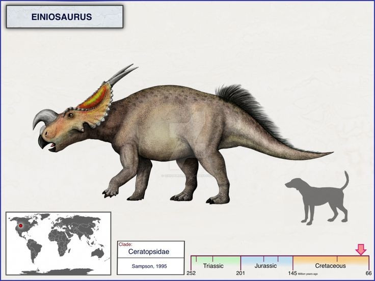  Sừng và diềm cổ có thể dùng để giao tiếp. Ngoài chức năng phòng vệ, sừng và tấm diềm cổ của Einiosaurus có thể đóng vai trò nhận diện cá thể, thu hút bạn tình hoặc thể hiện thứ bậc trong đàn, tương tự nhiều loài động vật hiện đại. Ảnh: Pinterest.