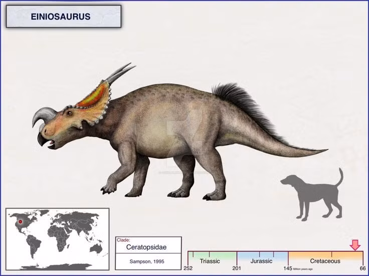  Sừng và diềm cổ có thể dùng để giao tiếp. Ngoài chức năng phòng vệ, sừng và tấm diềm cổ của Einiosaurus có thể đóng vai trò nhận diện cá thể, thu hút bạn tình hoặc thể hiện thứ bậc trong đàn, tương tự nhiều loài động vật hiện đại. Ảnh: Pinterest.