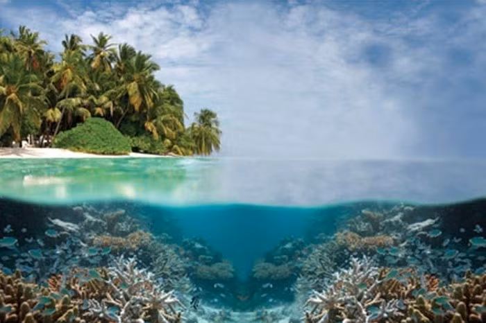 Là một trong những rạn san hô được bảo tồn tốt nhất thế giới. Vườn quốc gia Rạn san hô Tubbataha nằm cách xa đất liền Philippines, gần như không chịu tác động trực tiếp của con người, nhờ đó giữ được hệ sinh thái biển nguyên vẹn hiếm có. Ảnh: Pinterest.