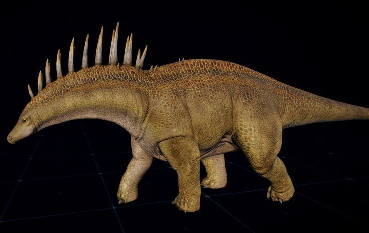  Gai cổ có thể tạo âm thanh khi va chạm. Một số giả thuyết cho rằng chúng dùng gai để rung tạo âm như cảnh báo. Ảnh: Pinterest.