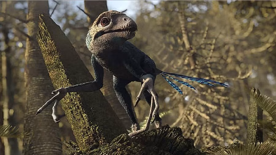  Kích thước cực nhỏ so với phần lớn khủng long. Epidendrosaurus chỉ dài khoảng 25–30 cm, nặng chưa tới nửa kilogram, khiến nó trông giống chim hay thằn lằn hơn là khủng long. Ảnh: dinosaurpictures.org.