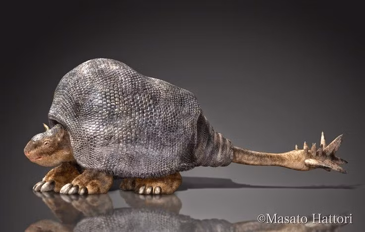  1. Sinh sống ở Nam Mỹ thời Pleistocen. Doedicurus tồn tại chủ yếu ở các vùng đồng cỏ và thảo nguyên Nam Mỹ khoảng 2,6 triệu đến 11.000 năm trước. Ảnh: Pinterest.