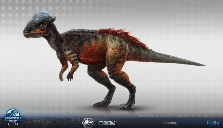  Sống vào cuối kỷ Phấn Trắng. Stegoceras tồn tại khoảng 76–74 triệu năm trước, cùng thời với các loài khủng long nổi tiếng như Tyrannosaurus và Triceratops, trong một hệ sinh thái đa dạng và cạnh tranh cao. Ảnh: Pinterest.