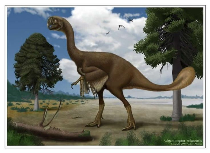 View - Sinh vật kỳ lạ làm đảo lộn quan niệm truyền thống về khủng long | Báo Tri thức và Cuộc sống - TIN TỨC PHỔ BIẾN KIẾN THỨC 24H