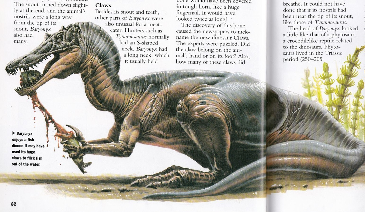  Khủng long ăn cá hiếm hoi trong thế giới cổ đại. Baryonyx được xem là một trong số ít khủng long ăn thịt chuyên săn cá, với hóa thạch dạ dày chứa vảy cá cổ đại, cho thấy chế độ ăn khác biệt so với nhiều loài khủng long theropod khác. Ảnh: Pinterest.