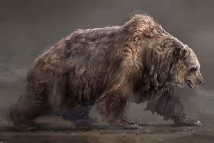  3. Hộp sọ đặc trưng và dễ nhận biết. Hộp sọ gấu hang có trán dốc và rộng, giúp các nhà khảo cổ dễ dàng phân biệt với xương gấu nâu cổ đại. Ảnh: Pinterest.