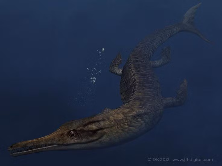  Đuôi giống vây cá mập. Đuôi có thùy đứng giúp Geosaurus bơi nhanh và linh hoạt trong nước sâu. Ảnh: Pinterest.