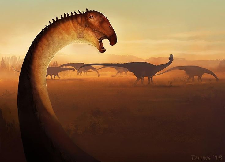  Loài khủng long này sống vào kỷ Phấn Trắng. Nigersaurus tồn tại cách đây khoảng 110 triệu năm, trong môi trường sông ngòi và đồng bằng xanh tốt của châu Phi cổ đại. Ảnh: Pinterest.