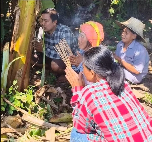 Dù đến nay chưa có bất kỳ lý giải khoa học chính thức nào về nguyên nhân khiến hai cây chuối ra buồng bất thường, hiện tượng này vẫn được người dân địa phương xem là một "điềm lạ". (Ảnh: The Thaiger)