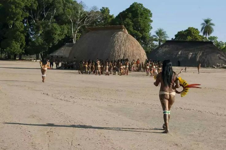  Nhà truyền thống hình oval. Kiến trúc nhà cộng đồng của người Xingu đặc trưng với mái lớn và thông thoáng. Ảnh: Pinterest.