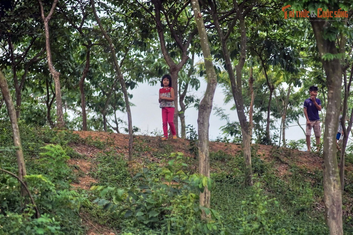 Cấu trúc thành lũy xoắn ốc hiếm thấy trên thế giới. Cổ Loa được thiết kế theo dạng vòng xoáy nhiều lớp, thường gọi là thành Ngoại, thành Trung và thành Nội. Kiểu cấu trúc này vừa tận dụng địa hình tự nhiên vừa tạo ưu thế phòng thủ linh hoạt, gây khó khăn cho quân xâm lược.