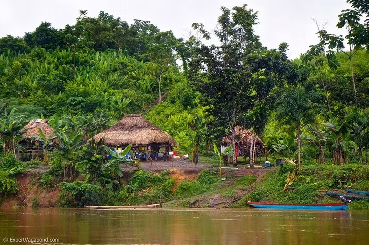  Nhiều cộng đồng bản địa vẫn sinh sống trong rừng. Người Emberá và Wounaan duy trì lối sống truyền thống giữa thiên nhiên hoang dã. Ảnh: Pinterest.