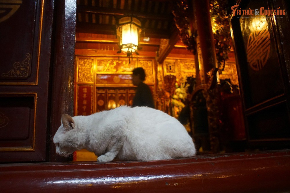 Vị trí từng là trung tâm tâm linh của kinh thành. Đền nằm ở khu phố cổ Hà Nội ngày nay, vốn là khu vực đông dân cư và buôn bán sầm uất từ thời Lý – Trần. Trong quá khứ, đây được coi là nơi “long mạch” quan trọng của Thăng Long.