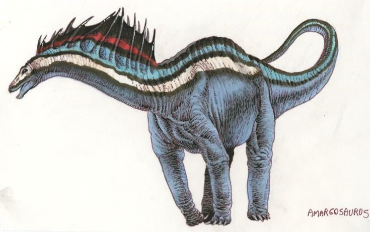  Gai cổ có thể dùng để phô trương khi giao phối. Các mào da lớn trên gai giúp con đực thu hút bạn tình. Ảnh: Pinterest.