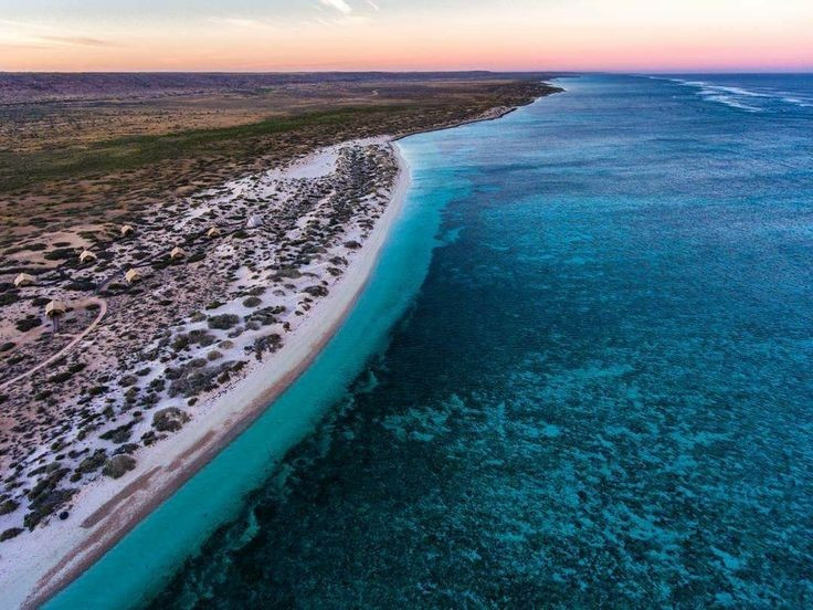  Thuộc rạn san hô ven bờ dài nhất thế giới. Vịnh Ningaloo dài khoảng 260 km dọc bờ tây nước Úc. Ảnh: Pinterest.