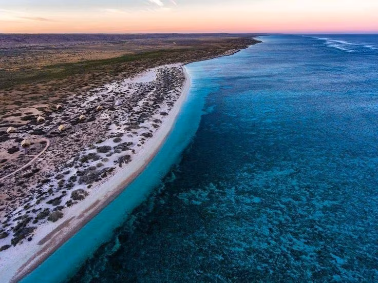  Thuộc rạn san hô ven bờ dài nhất thế giới. Vịnh Ningaloo dài khoảng 260 km dọc bờ tây nước Úc. Ảnh: Pinterest.
