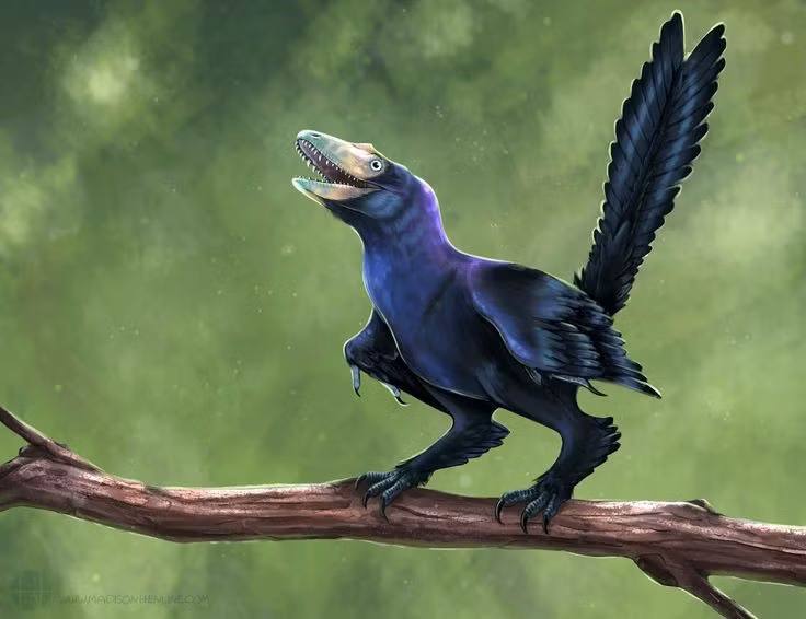  Thay đổi cách nhìn về diện mạo khủng long. Phát hiện Caihong cho thấy khủng long không chỉ có màu nâu xám đơn điệu, mà có thể từng sở hữu vẻ ngoài rực rỡ, sinh động như những loài chim hiện đại. Ảnh: Pinterest.