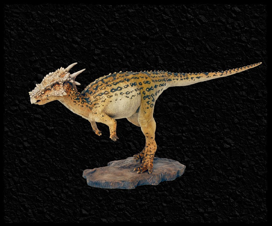  Sống vào cuối kỷ Phấn Trắng. Dracorex tồn tại cách đây khoảng 66 triệu năm tại khu vực Bắc Mỹ, ngay trước thời điểm xảy ra sự kiện tuyệt chủng khủng long. Ảnh: dinosaurpictures.org.