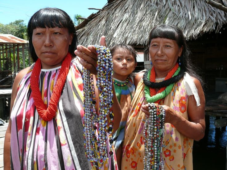  Ngôn ngữ Warao là một ngôn ngữ biệt lập hiếm có. Ngôn ngữ này không thuộc bất kỳ họ ngôn ngữ lớn nào trong khu vực và sử dụng cấu trúc câu khác lạ so với nhiều ngôn ngữ Mỹ bản địa. Ảnh: Pinterest.