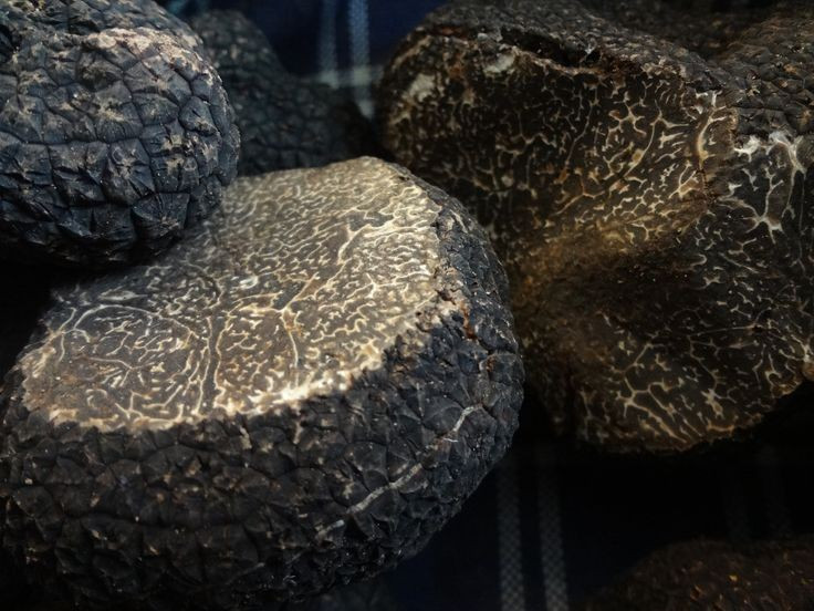  Hương thơm mạnh mẽ và đặc trưng. Nấm cục nổi tiếng với mùi thơm phức tạp, có thể gợi nhớ đến mùi đất ẩm, hạt rang, tỏi hoặc thậm chí hơi giống pho mát lên men. Chính mùi hương độc đáo này khiến chúng trở thành nguyên liệu quý trong ẩm thực cao cấp, chỉ cần một lượng nhỏ cũng đủ tạo nên hương vị đặc biệt cho món ăn. Ảnh: Pinterest.