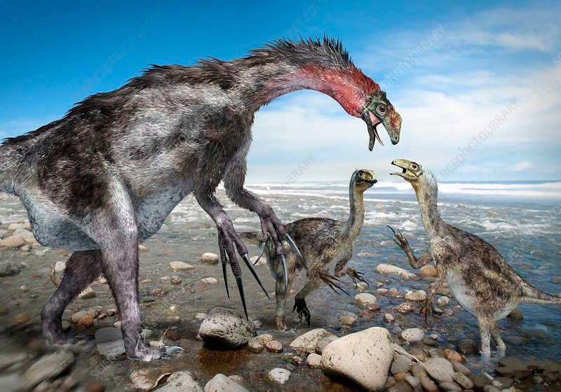  Việc phát hiện Nothronychus giúp kết nối các dạng khủng long therizinosaur châu Á với Bắc Mỹ. Điều này làm rõ con đường tiến hóa và phân bố của nhóm khủng long này. Ảnh: sciencephoto.com.