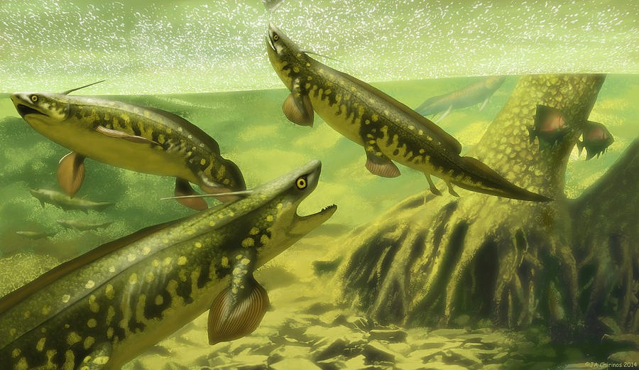  Tồn tại suốt hơn 200 triệu năm. Chúng xuất hiện từ cuối kỷ Devon và biến mất vào cuối Trias. Ảnh: fineartamerica.com.