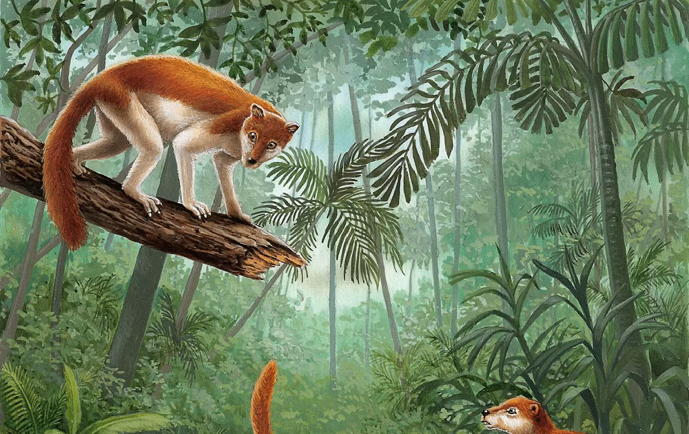  Cấu trúc cơ thể giống sóc. Với thân hình nhỏ bé, bộ lông dày và cái đuôi dài, Plesiadapis có ngoại hình khá giống loài sóc hiện đại. Ảnh: googleusercontent.com.