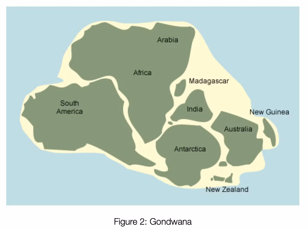  Gondwana là chìa khóa nghiên cứu lịch sử Trái đất. Hiểu về Gondwana giúp giới khoa học giải mã tiến hóa của sinh vật và địa chất hành tinh. Ảnh: tiritirimatangi.org.nz.
