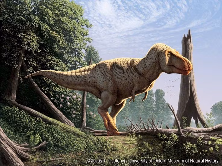  1. Không phải khủng long ăn thịt lớn nhất. Dù rất nổi tiếng, T. rex không phải loài khủng long ăn thịt lớn nhất, mà Spinosaurus mới giữ kỷ lục về kích thước. Ảnh: Pinterest.