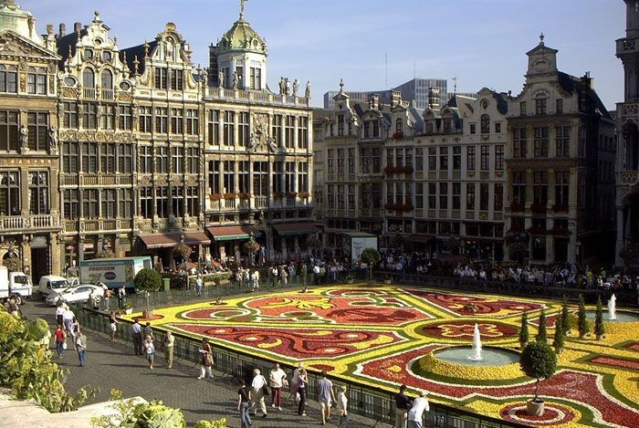  Lễ hội thảm hoa hai năm một lần. Cứ mỗi hai năm vào tháng Tám, Grand-Place được phủ kín bởi tấm thảm hoa khổng lồ làm từ hàng trăm nghìn bông thu hải đường. Sự kiện này thu hút đông đảo du khách quốc tế. Ảnh: Pinterest.