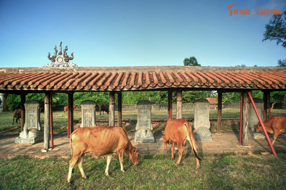 Từng bị xuống cấp nghiêm trọng. Trải qua chiến tranh và thời gian dài ít được quan tâm, nhiều hạng mục của Văn Miếu Huế từng rơi vào tình trạng hư hỏng, cây cối mọc um tùm, gần như bị lãng quên.