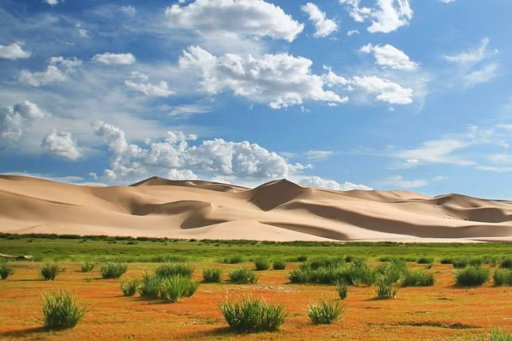  Cồn cát Khongoryn Els nổi tiếng thế giới. Những “cồn cát biết hát” Khongoryn Els có thể cao tới 300 mét, phát ra âm thanh trầm vang khi cát dịch chuyển, trở thành biểu tượng đặc trưng của vườn quốc gia. Ảnh: Pinterest.