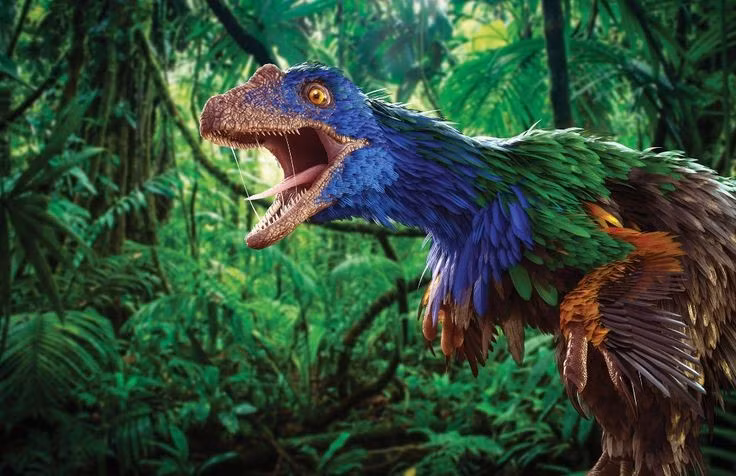  Bộ lông có khả năng ánh kim đặc biệt. Các hóa thạch của Caihong cho thấy cấu trúc melanosome trong lông tương tự chim hiện đại, gợi ý rằng lông của chúng có thể phản chiếu ánh sáng với sắc xanh, tím và đỏ như kim loại. Ảnh: Pinterest.