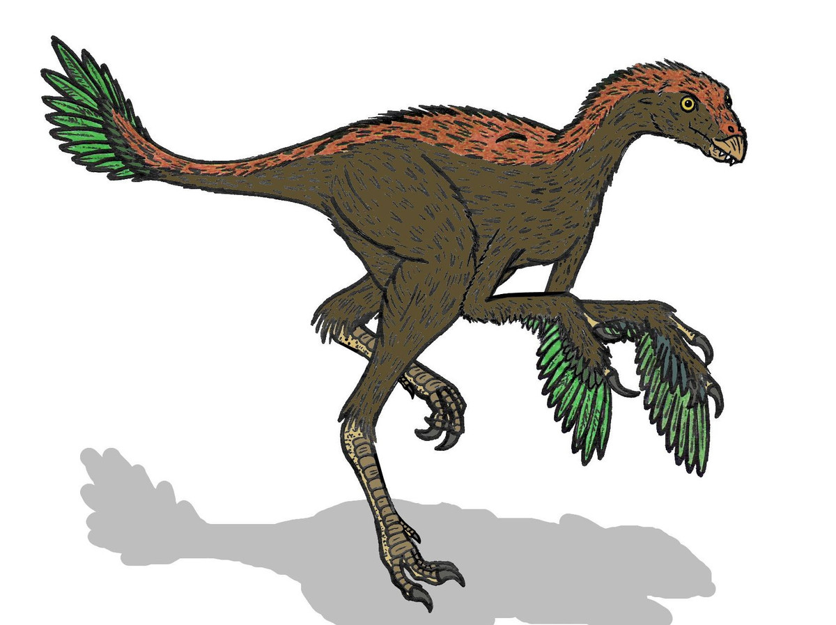  Thuộc nhóm khủng long gần với chim. Incisivosaurus là một trong những đại diện sớm của nhóm Oviraptorosauria, nhánh khủng long chân thú có quan hệ tiến hóa gần với chim, góp phần làm sáng tỏ quá trình chuyển đổi từ khủng long sang chim hiện đại. Ảnh: Pinterest.