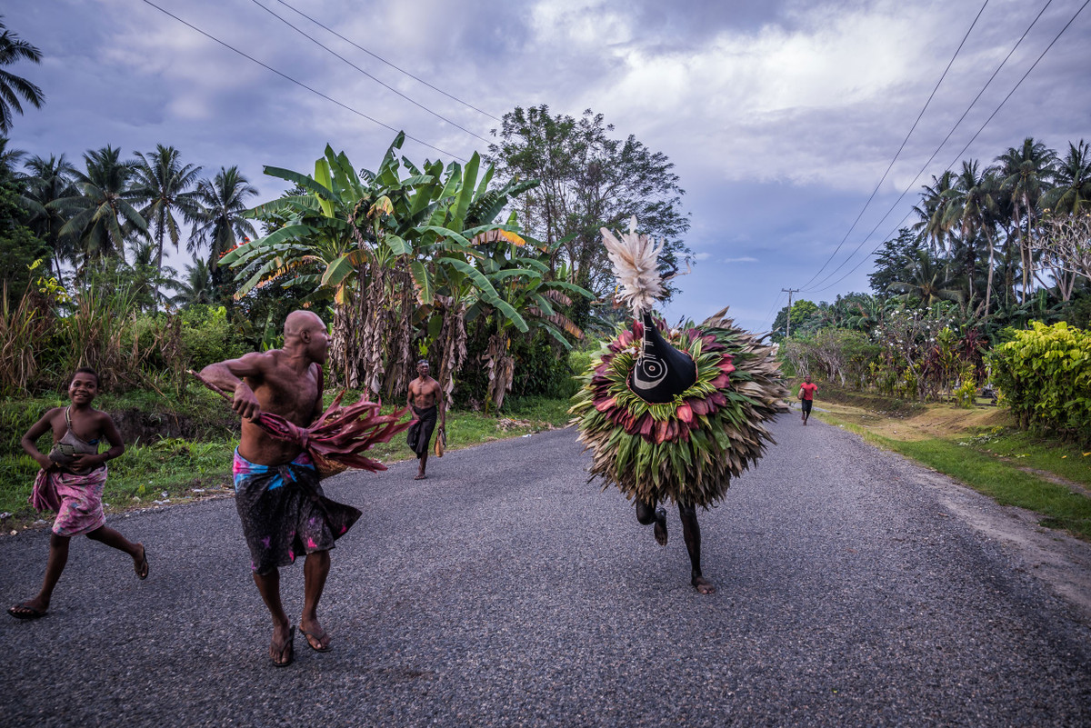  Kinh tế truyền thống gắn với nông nghiệp và dừa. Người Tolai trồng khoai môn, chuối và đặc biệt là dừa để sản xuất cùi dừa khô – mặt hàng xuất khẩu quan trọng trong thời kỳ thuộc địa. Ảnh: hakaimagazine.com.