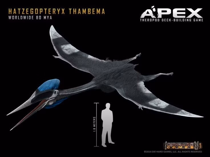  Sống ở “hòn đảo của người tí hon”. Loài này từng tồn tại ở đảo Hațeg (Romania hiện nay), nơi nhiều loài khủng long có kích thước nhỏ do tiến hóa cô lập. Ảnh: Pinterest.