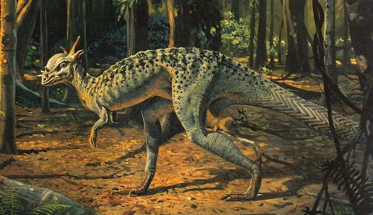  Kích thước trung bình. Stygimoloch dài khoảng 3 mét, nặng gần 400 kg. Ảnh: Pinterest.