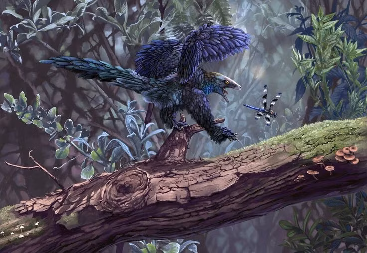  Màu sắc có thể dùng cho giao tiếp và phô trương. Bộ lông sặc sỡ nhiều khả năng đóng vai trò trong việc thu hút bạn tình hoặc khẳng định vị thế, tương tự hành vi của nhiều loài chim ngày nay. Ảnh: Pinterest.