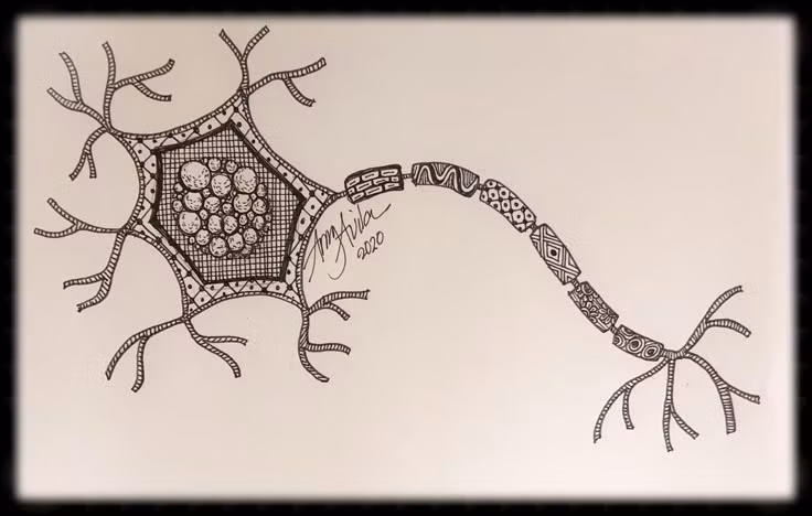 Công nghệ Neuropixels, có khả năng ghi lại tín hiệu từ hàng nghìn tế bào thần kinh cùng lúc, đóng vai trò then chốt trong việc tạo nên bản đồ này.