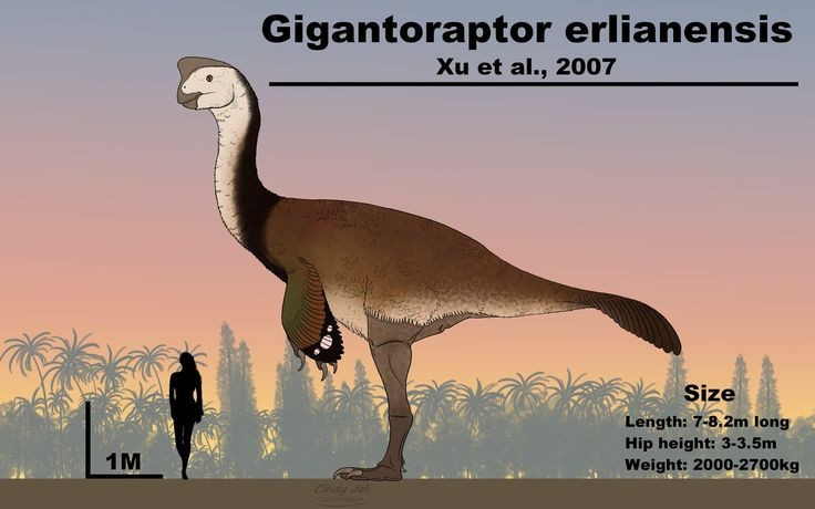 View - Sinh vật kỳ lạ làm đảo lộn quan niệm truyền thống về khủng long | Báo Tri thức và Cuộc sống - TIN TỨC PHỔ BIẾN KIẾN THỨC 24H