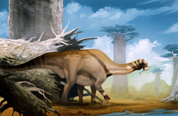  Nigersaurus được phát hiện tại khu vực sa mạc Sahara ngày nay. Sa mạc này từng là vùng đất ẩm ướt, giàu sinh vật, hoàn toàn trái ngược với khung cảnh khô cằn hiện tại. Ảnh: Pinterest.