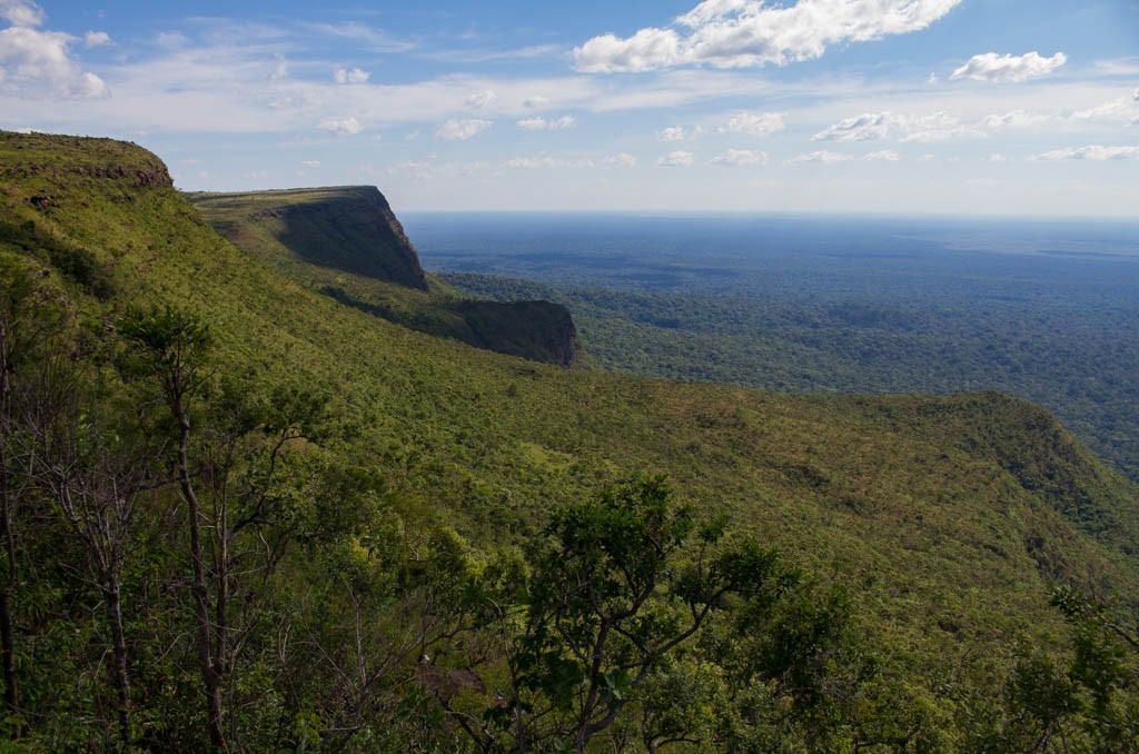  Ngôi nhà của hàng nghìn loài sinh vật. Vườn quốc gia Noel Kempff Mercado là nơi sinh sống của hàng trăm loài động vật có vú, chim, bò sát và vô số loài thực vật, trong đó có nhiều loài quý hiếm và đặc hữu. Ảnh: amytravelsblog.wordpress.com.