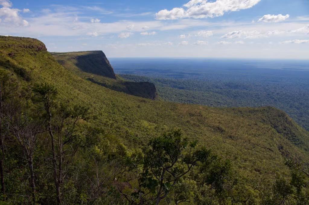  Ngôi nhà của hàng nghìn loài sinh vật. Vườn quốc gia Noel Kempff Mercado là nơi sinh sống của hàng trăm loài động vật có vú, chim, bò sát và vô số loài thực vật, trong đó có nhiều loài quý hiếm và đặc hữu. Ảnh: amytravelsblog.wordpress.com.