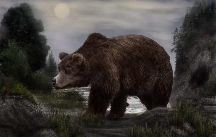  5. Thường xuyên cư trú trong hang động. Khác với các loài gấu hiện đại chỉ ngủ đông trong hang, gấu hang dành phần lớn thời gian của mình trong hang động, chỉ ra ngoài khi kiếm ăn. Ảnh: Pinterest.