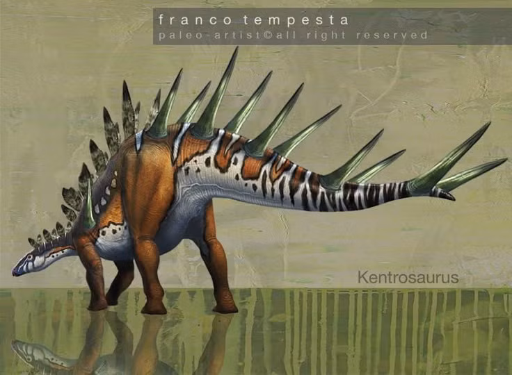  Ăn thực vật thấp sát mặt đất. Với hàm răng nhỏ và mỏ thích nghi, Kentrosaurus chủ yếu gặm các loại dương xỉ, cây bụi thấp và thảm thực vật gần mặt đất. Ảnh: Pinterest.