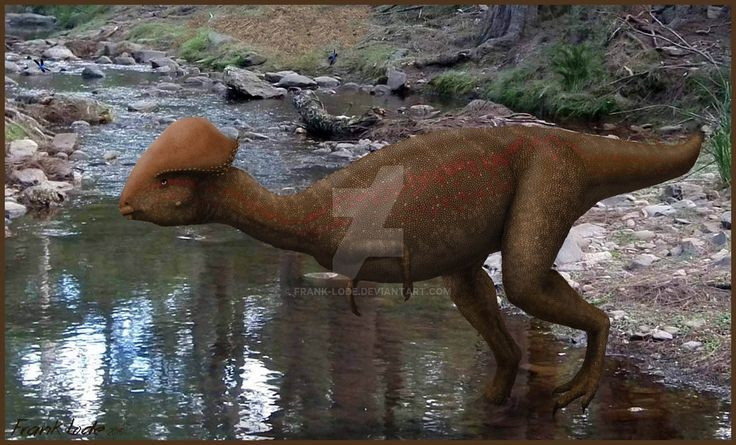  Kích thước nhỏ so với nhiều khủng long khác. Stegoceras chỉ dài khoảng 2–2,5 mét và nặng chừng 40–50 kg, khiến nó trở thành loài khủng long cỡ nhỏ, nhanh nhẹn và linh hoạt trong môi trường sống. Ảnh: Pinterest.