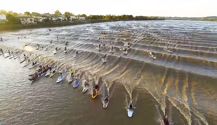  8. Có hiện tượng sóng thủy triều Pororoca nổi tiếng. Pororoca là hiện tượng sóng thủy triều mạnh từ Đại Tây Dương tràn vào cửa sông Amazon, tạo ra những đợt sóng cao mà dân lướt sóng ưa mạo hiểm thường tìm đến. Ảnh: Pinterest.